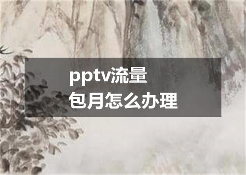 pptv流量包月怎么办理