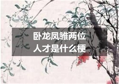 卧龙凤雏两位人才是什么梗