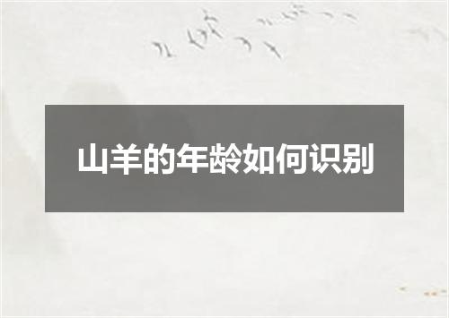 山羊的年龄如何识别