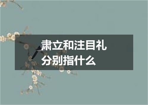 肃立和注目礼分别指什么