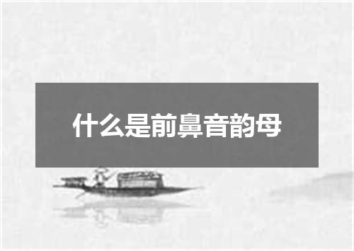 什么是前鼻音韵母