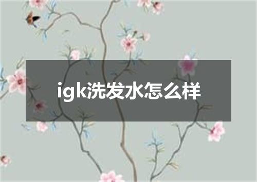 igk洗发水怎么样