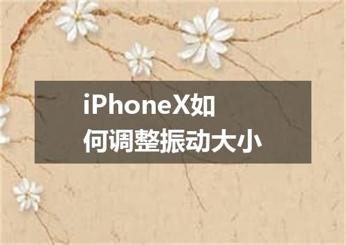 iPhoneX如何调整振动大小