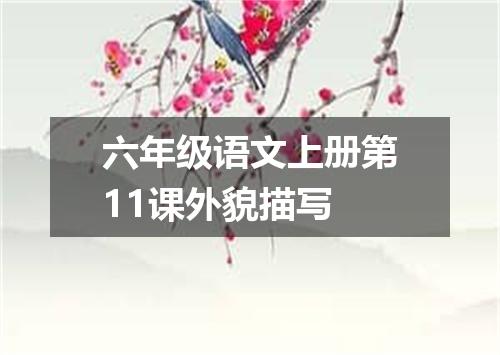 六年级语文上册第11课外貌描写