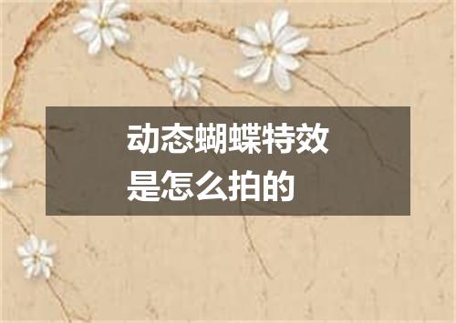 动态蝴蝶特效是怎么拍的