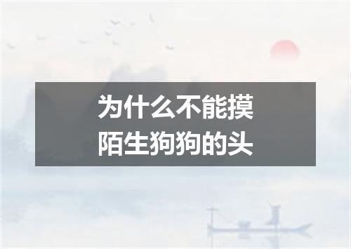 为什么不能摸陌生狗狗的头