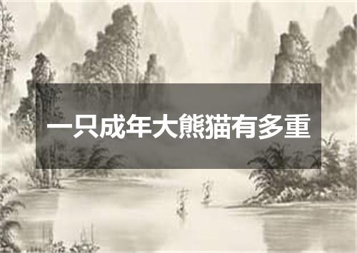 一只成年大熊猫有多重