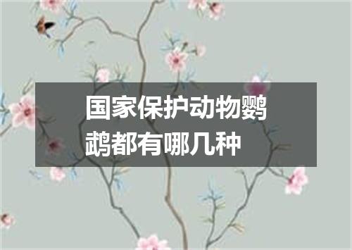 国家保护动物鹦鹉都有哪几种