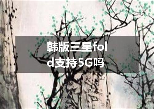 韩版三星fold支持5G吗
