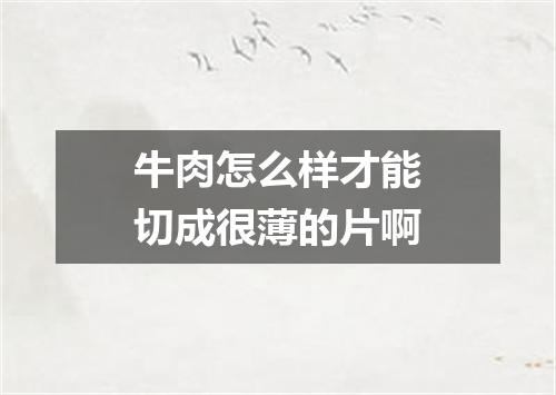 牛肉怎么样才能切成很薄的片啊