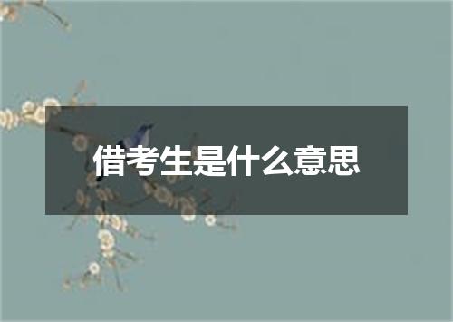 借考生是什么意思