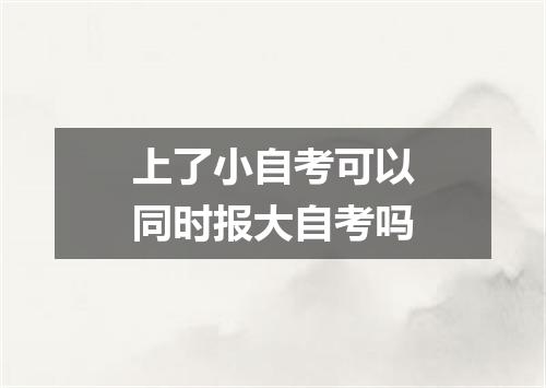 上了小自考可以同时报大自考吗