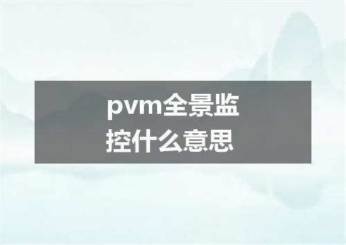 pvm全景监控什么意思