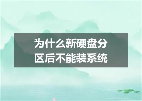 为什么新硬盘分区后不能装系统