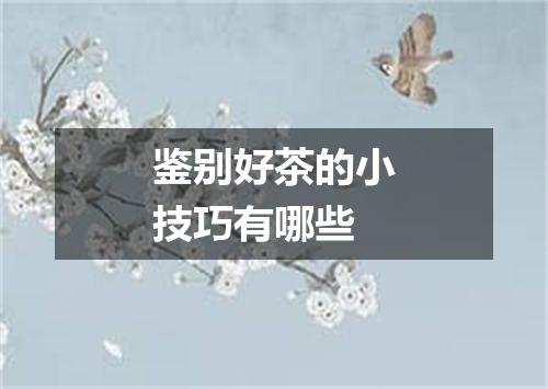 鉴别好茶的小技巧有哪些