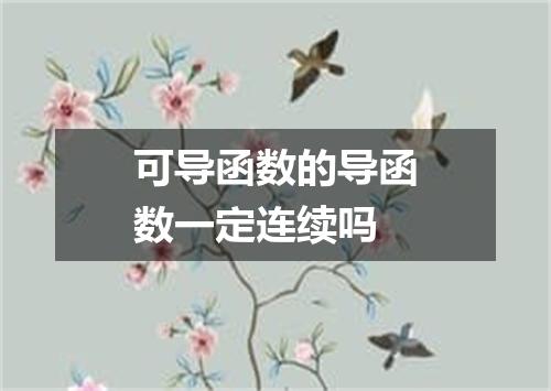 可导函数的导函数一定连续吗