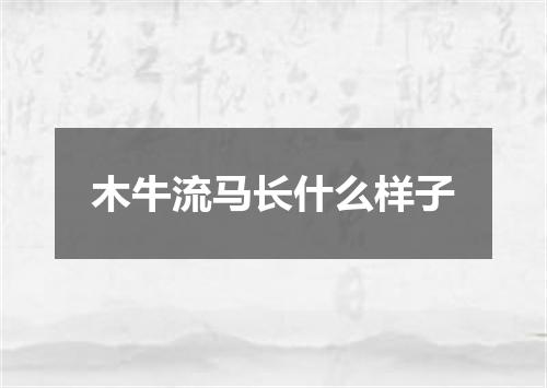 木牛流马长什么样子
