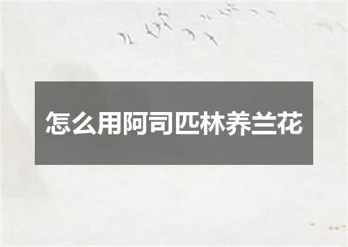 怎么用阿司匹林养兰花