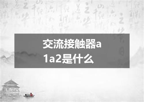 交流接触器a1a2是什么
