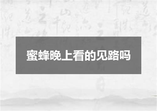 蜜蜂晚上看的见路吗