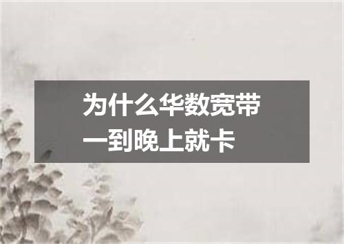 为什么华数宽带一到晚上就卡