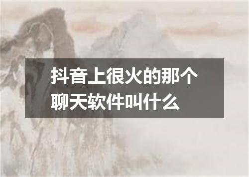 抖音上很火的那个聊天软件叫什么
