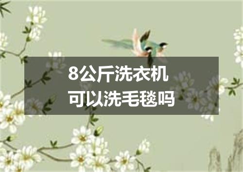 8公斤洗衣机可以洗毛毯吗