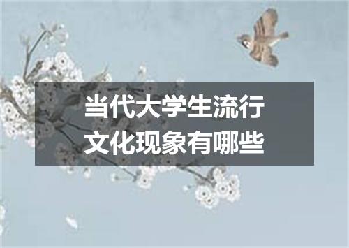 当代大学生流行文化现象有哪些