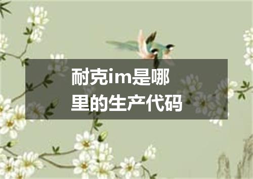 耐克im是哪里的生产代码