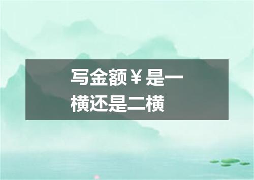 写金额￥是一横还是二横