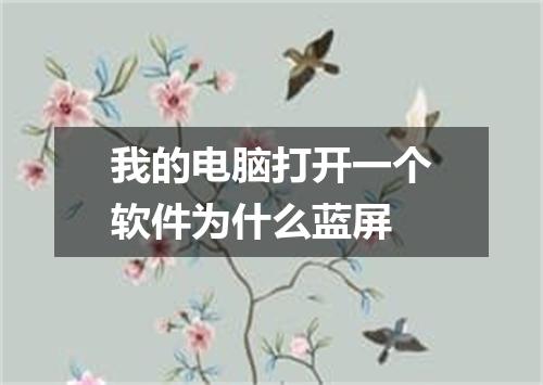 我的电脑打开一个软件为什么蓝屏