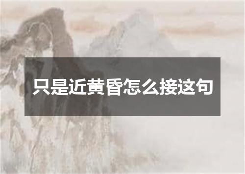 只是近黄昏怎么接这句