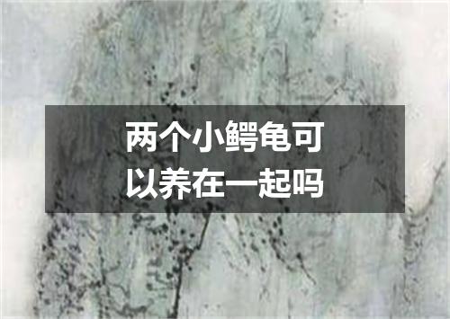 两个小鳄龟可以养在一起吗