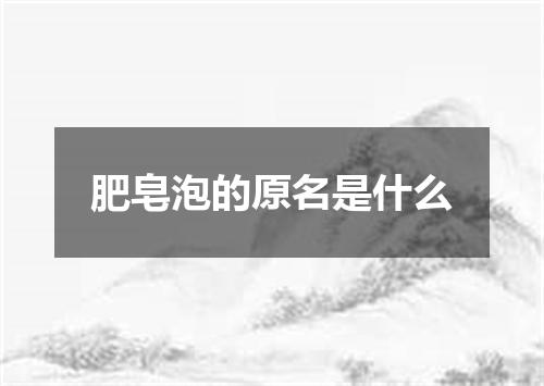 肥皂泡的原名是什么