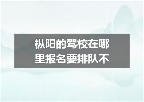 枞阳的驾校在哪里报名要排队不