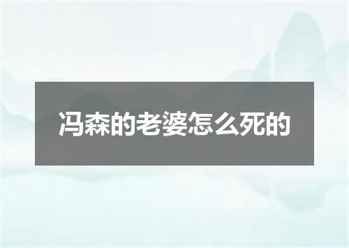 冯森的老婆怎么死的