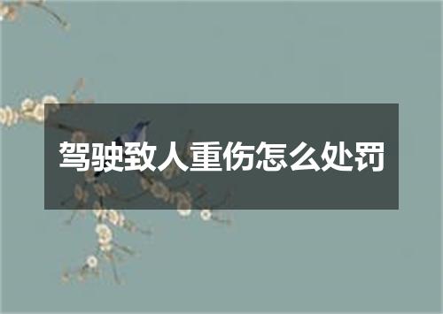 驾驶致人重伤怎么处罚