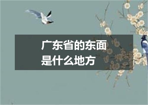 广东省的东面是什么地方