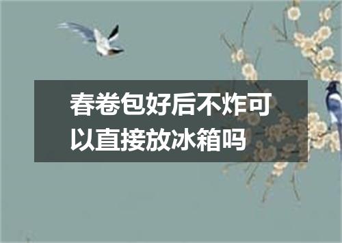春卷包好后不炸可以直接放冰箱吗