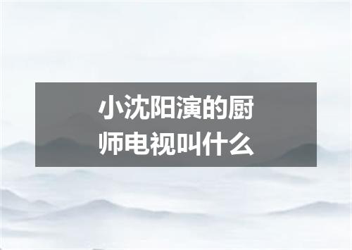 小沈阳演的厨师电视叫什么