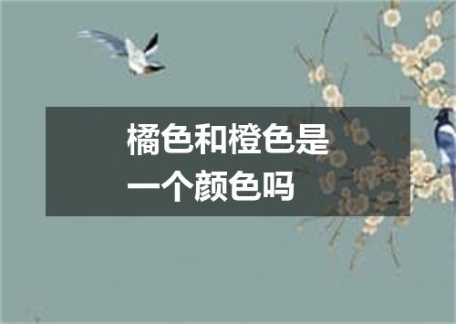 橘色和橙色是一个颜色吗