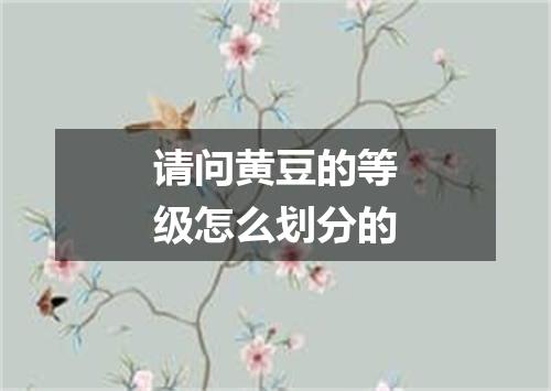 请问黄豆的等级怎么划分的