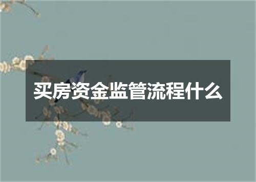 买房资金监管流程什么