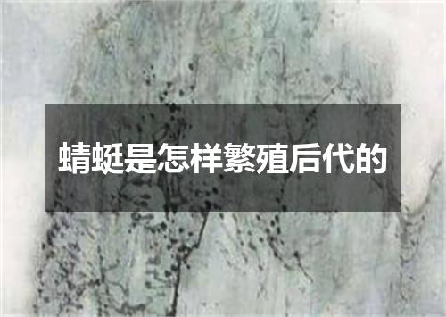 蜻蜓是怎样繁殖后代的