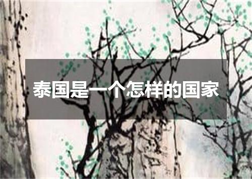 泰国是一个怎样的国家