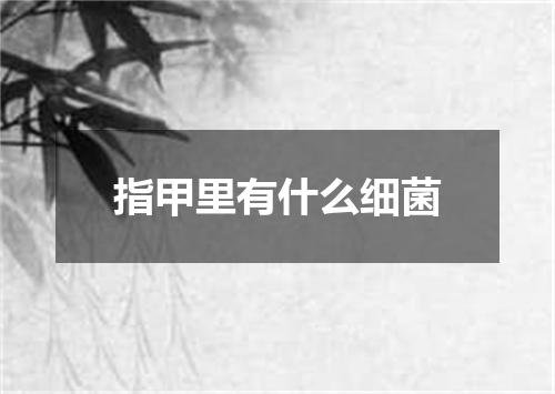 指甲里有什么细菌