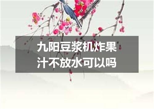 九阳豆浆机炸果汁不放水可以吗