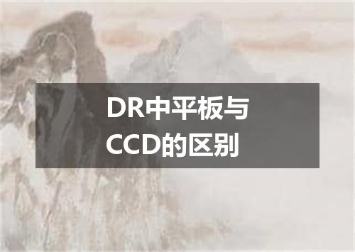 DR中平板与CCD的区别
