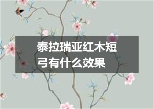 泰拉瑞亚红木短弓有什么效果