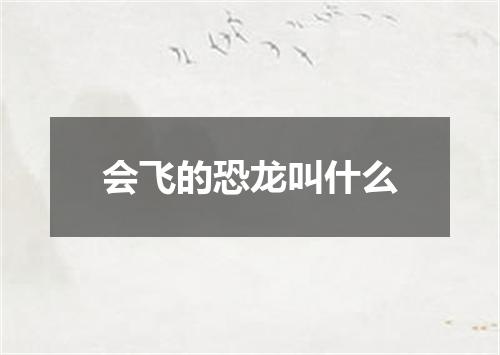 会飞的恐龙叫什么